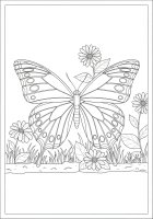dibujo-para-colorear mariposa en el jardín