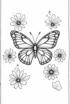 dibujo-para-colorear mariposa entre las flores