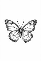 dibujo-para-colorear mariposa