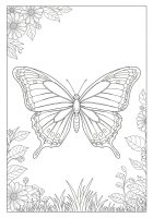 dibujo-para-colorear mariposa vuela en el jardín