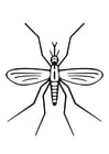Dibujos para colorear mosquito