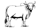Dibujos para colorear vaca sagrada