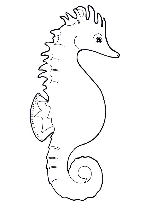 caballito de mar Dibujo para colorear caballito de mar