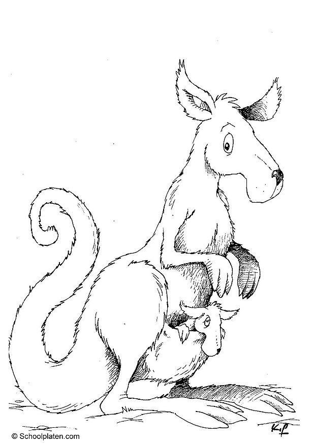 canguro Dibujo para colorear canguro