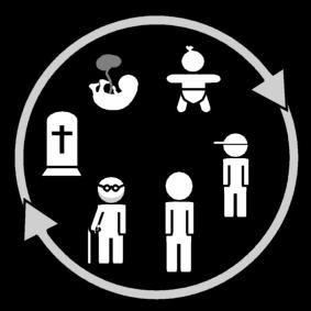 ciclo de vida Dibujo para colorear ciclo de vida