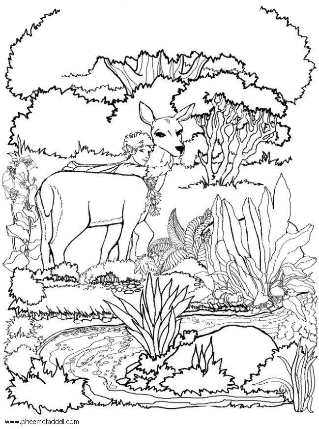 hada con venado Dibujo para colorear hada con venado