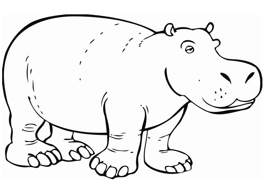 hipopA³tamo Dibujo para colorear hipopA³tamo