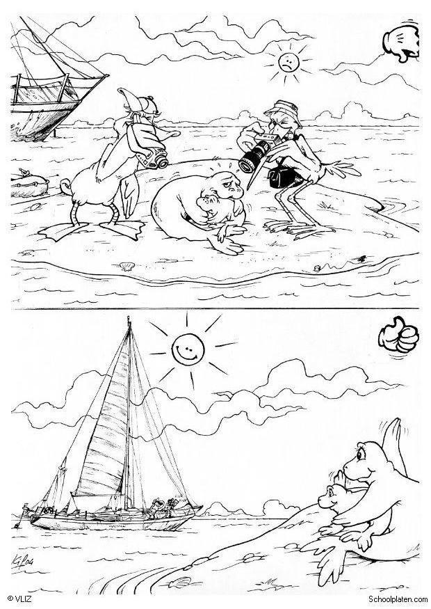 lobo marino Dibujo para colorear lobo marino