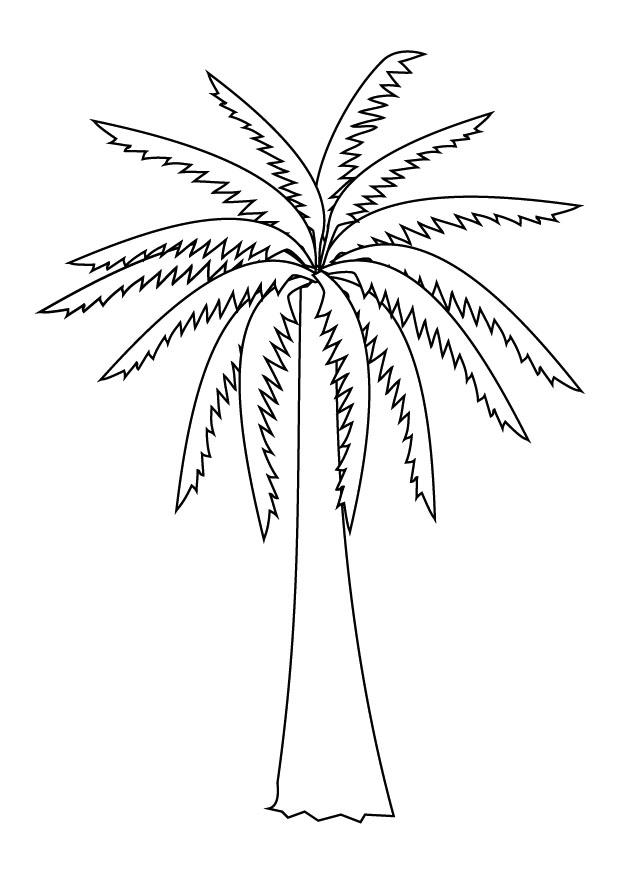 palmera Dibujo para colorear palmera