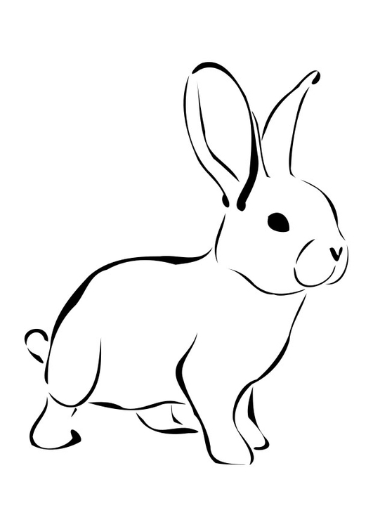 Dibujo Para Colorear Conejo Dibujos Para Imprimir Gratis Img 13848
