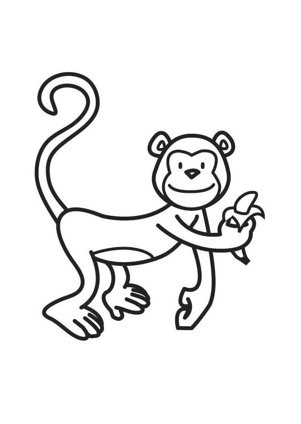 Dibujo de Mono para colorear  Dibujos para colorear imprimir gratis