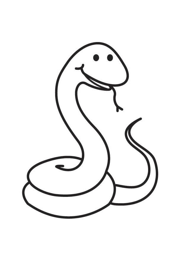 Dibujo De Serpiente Para Colorear Img 17907 6506